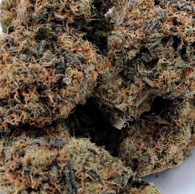 Apple Fritter (AAAA-) 1 Apple Fritter (AAAA-)