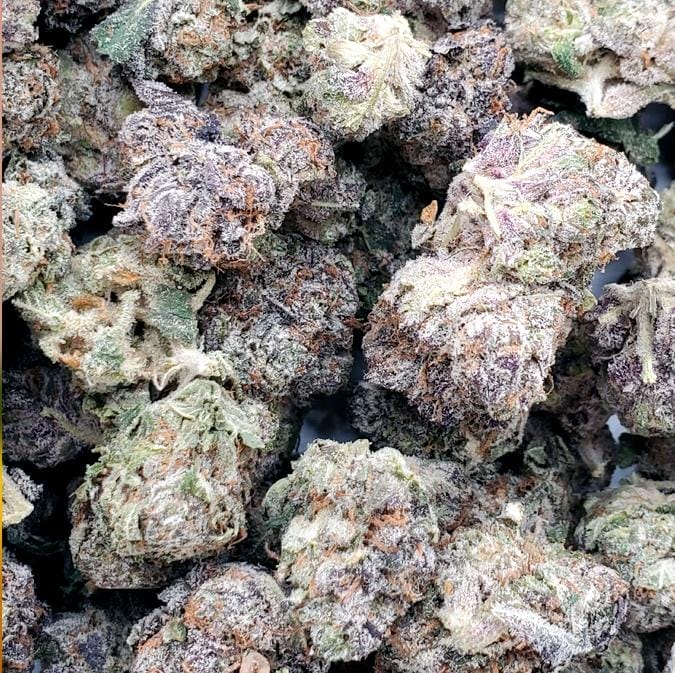 Frost Factory | Cold Cured Quads — Stripper Glitter