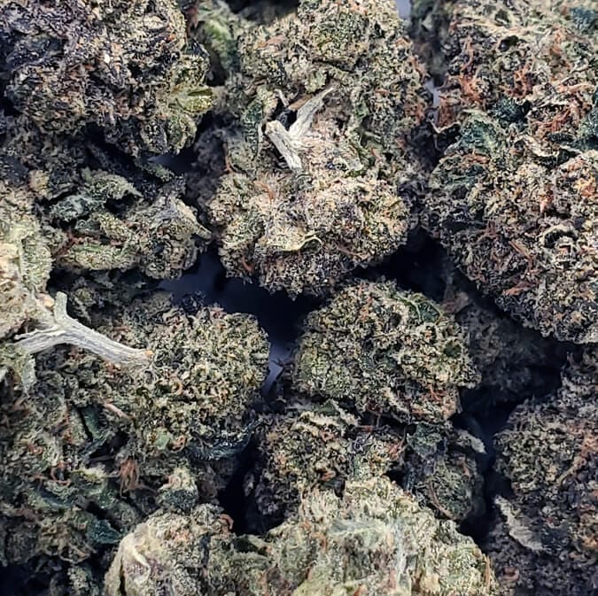 Pink Lizard (AAAA+)