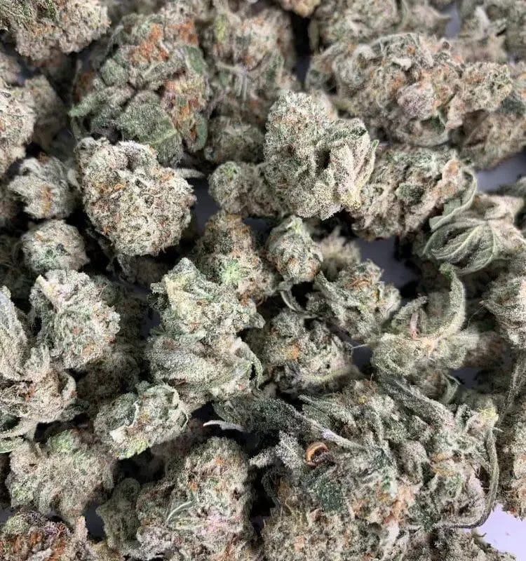Slurricane (AAA+)