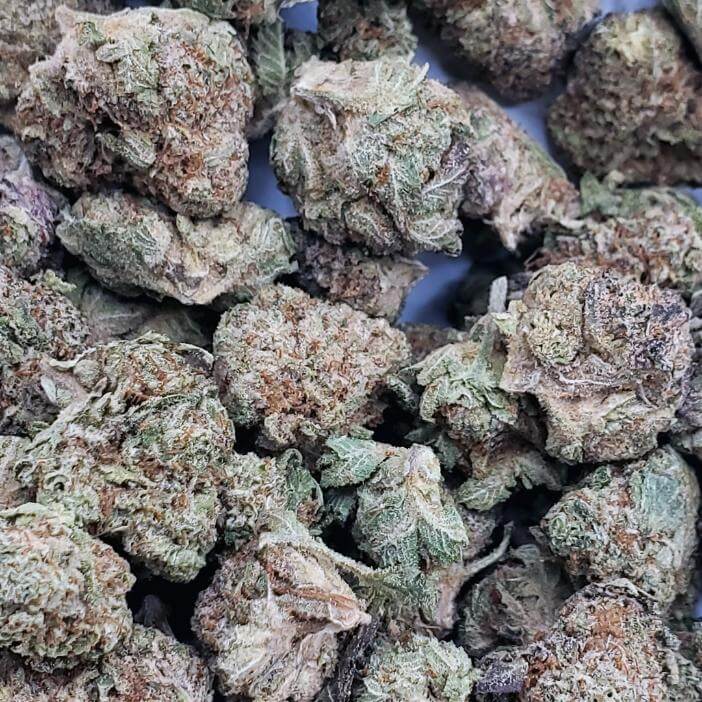 Pink Kitty (AAA+) 1 Pink Kitty (AAA+)