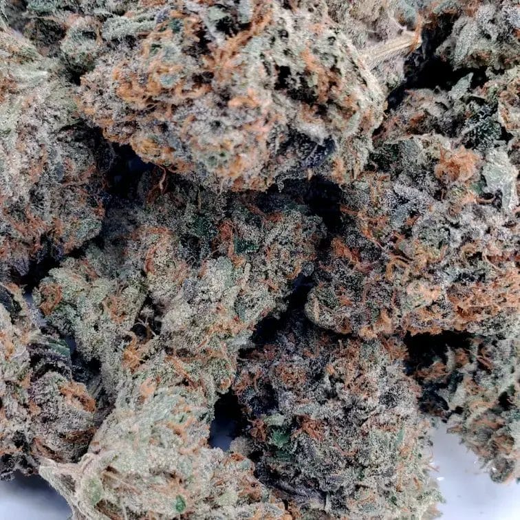 Glitter Bomb (AAAA)