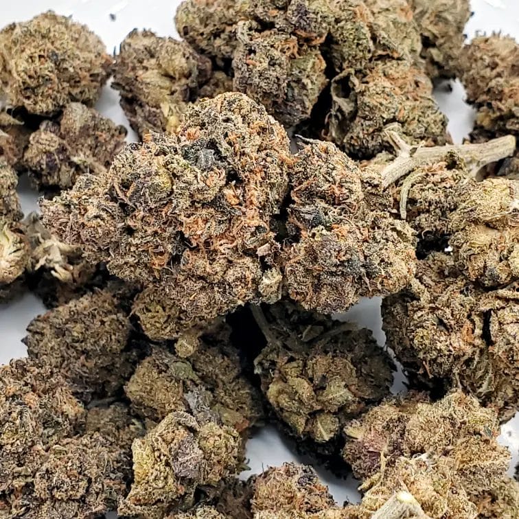 Purple Gelato (AAA+)