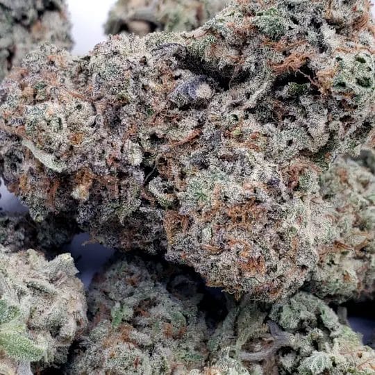 Gelato Punch (AAA+)