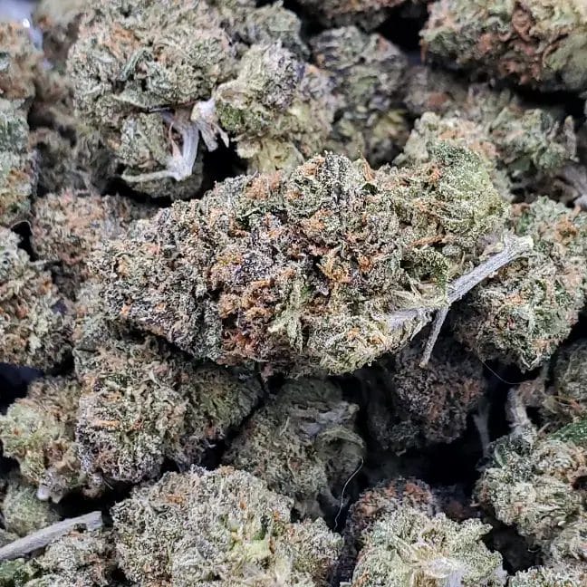 Runtz (AAAA+) 1 Runtz (AAAA+)