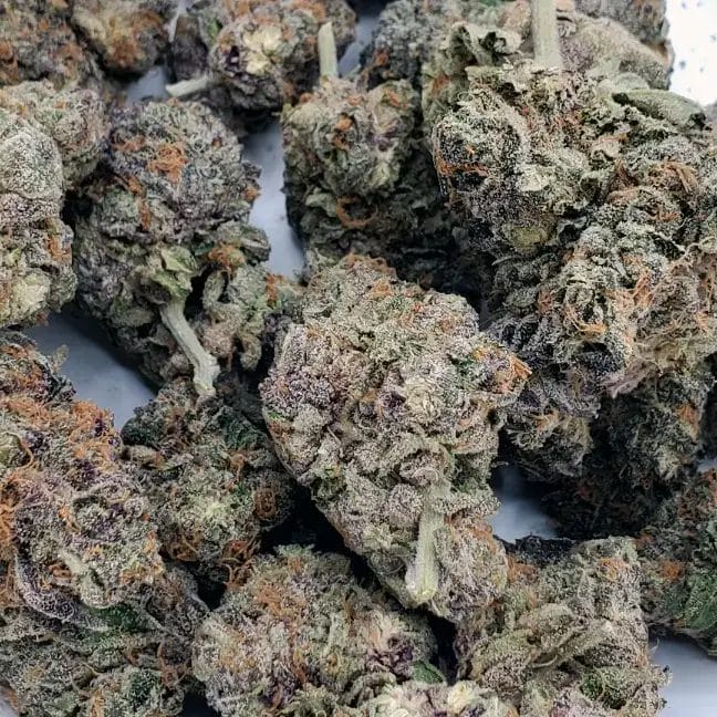 Cheese Quake (AAAA+)