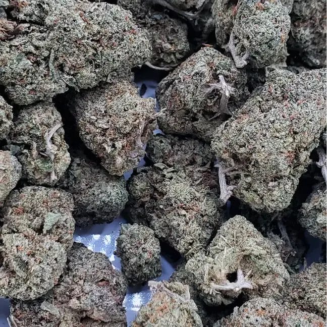 Pink Gelato (AAA+) 1 Pink Gelato (AAA+)