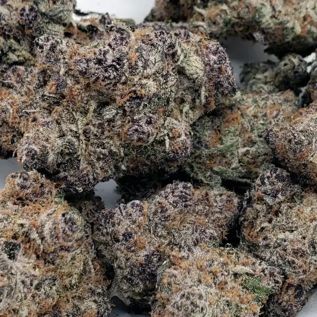 Super Boof (AAAA+)